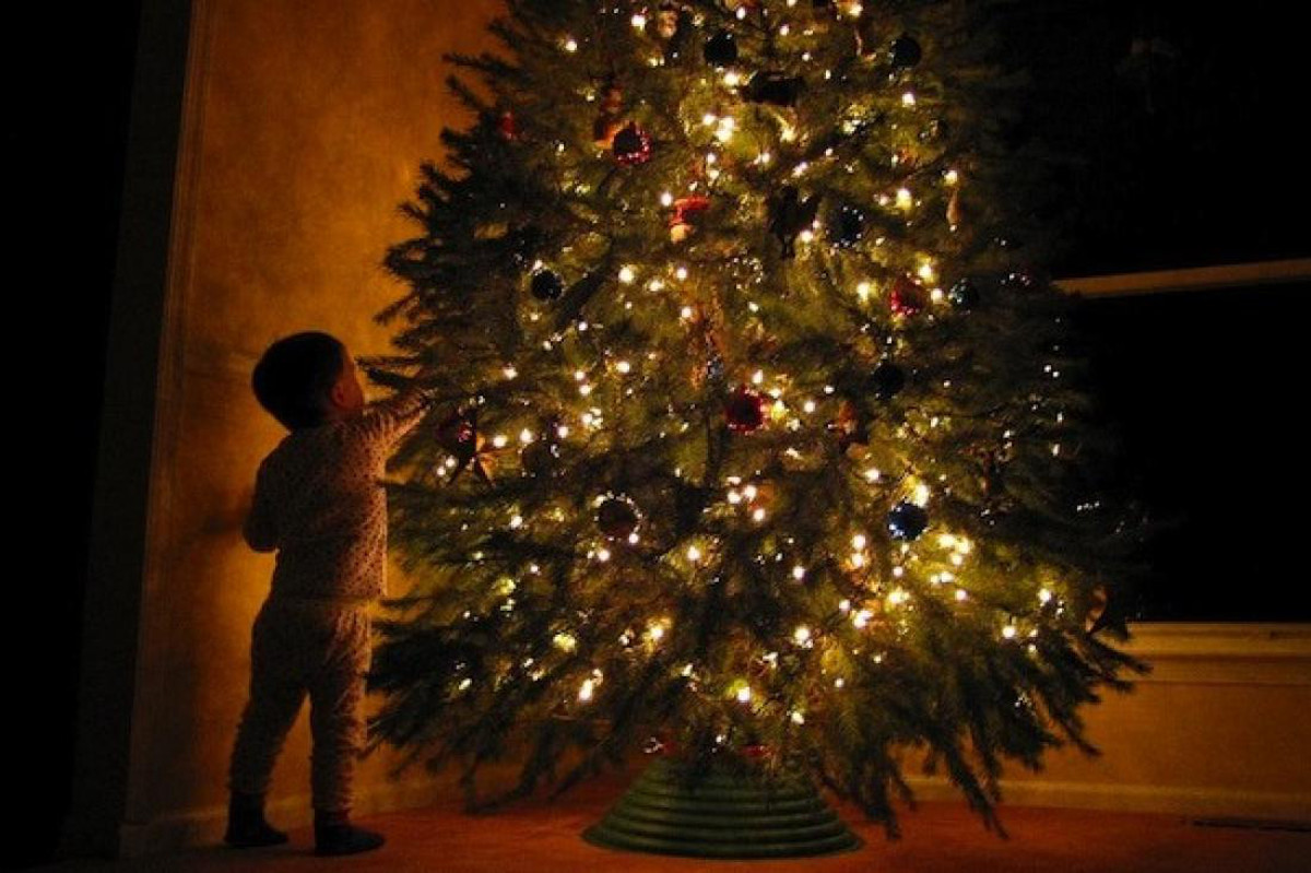 Ποιος στόλισε το πρώτο Χριστουγεννιάτικο δέντρο στην Ελλάδα – Πότε εισήλθε στη χριστιανική θρησκεία