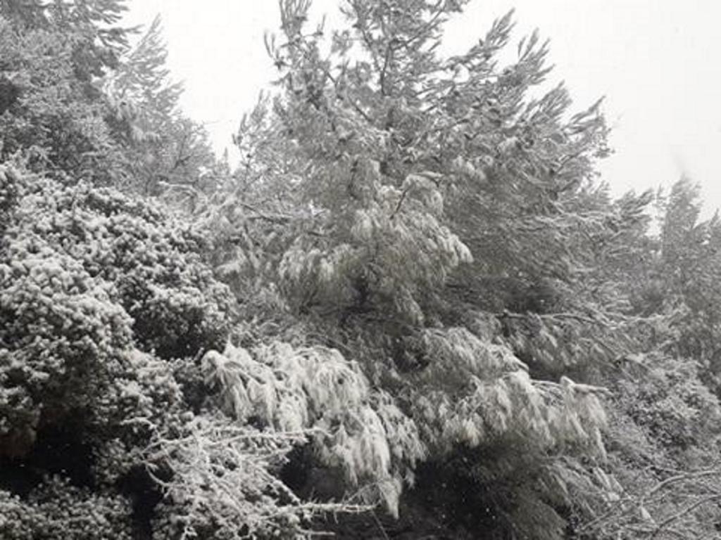 Καιρός: “Νυφούλα” στα λευκά η Λέσβος! Χιόνι σε πολλές περιοχές του νησιού- Video