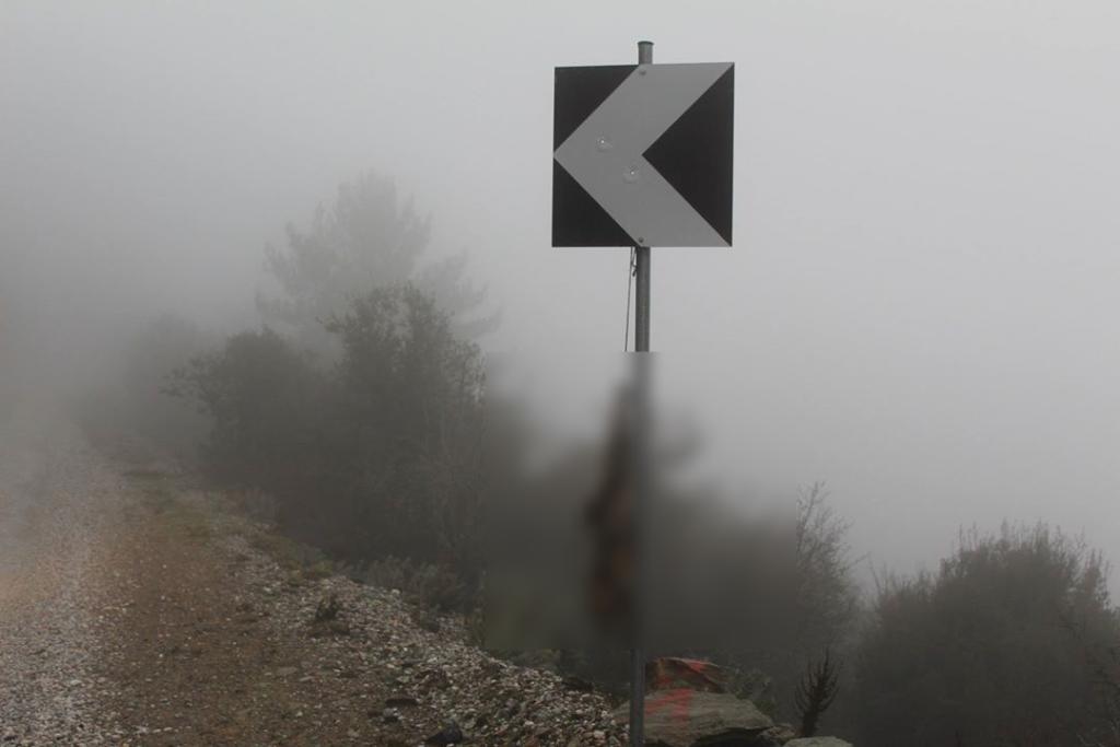 Λέσβος: Κρέμασαν νεκρή αλεπού σε πινακίδα – Σκληρές εικόνες σε δασική περιοχή!