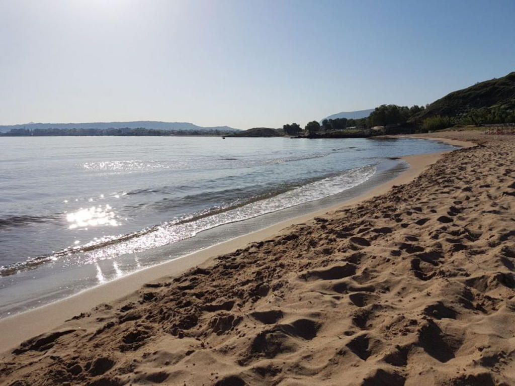 Κρήτη: Δεν πίστευαν στα μάτια τους στην Απτέρα! Τεράστιο κουφάρι στην παραλία [pics]