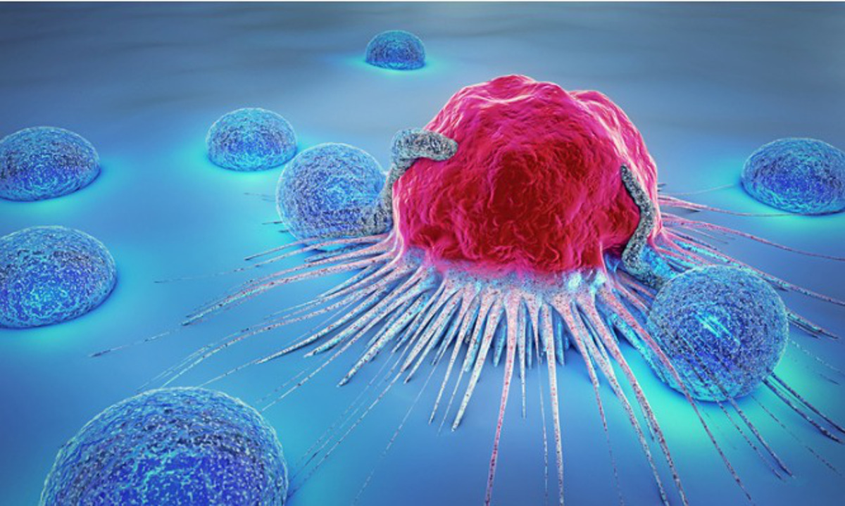 Ανακάλυψαν το πρωταρχικό “κύτταρο προέλευσης” που ίσως ευθύνεται για κάθε τύπο καρκίνου