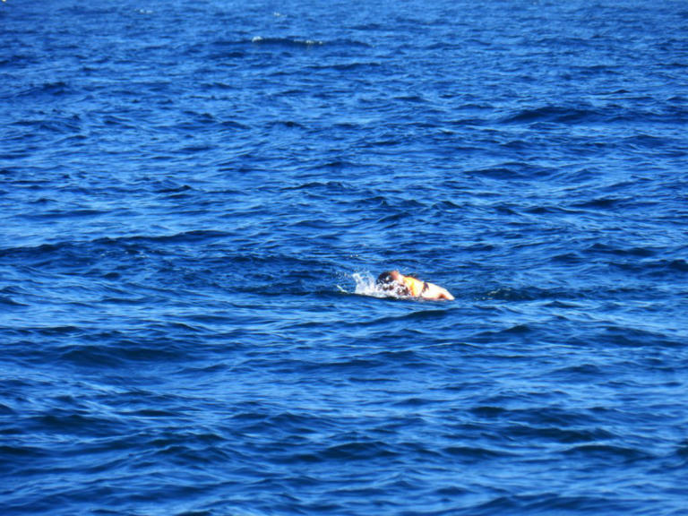 Σκάφος με μετανάστες στα Κύθηρα – Συλλήψεις διακινητών