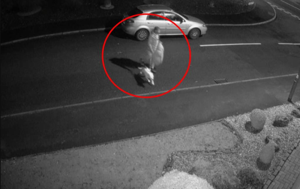 Το βίντεο που ραγίζει καρδιές: Εγκατέλειψε το σκύλο του στο δρόμο – Εκείνος έτρεχε πίσω από το αυτοκίνητο