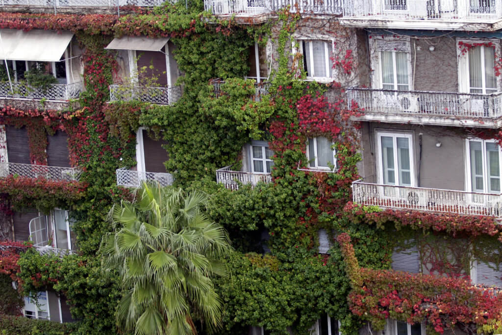 Τα σενάρια για το Νόμο Κατσέλη και το ύψος προστασίας της πρώτης κατοικίας