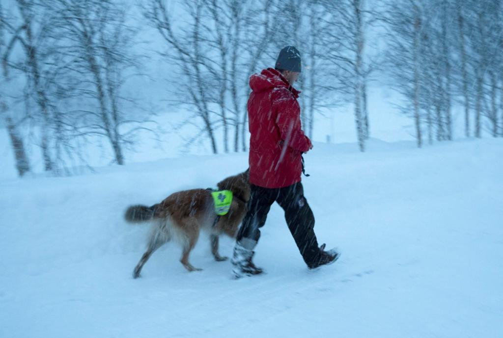Νορβηγία: Αγνοούνται τέσσερις τουρίστες, μετά από χιονοστιβάδα