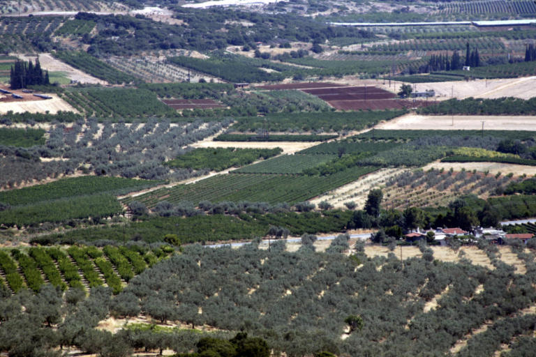 Παράταση στην υποβολή αντιρρήσεων επί των αναρτημένων δασικών χαρτών | Newsit.gr Παράταση στην υποβολή αντιρρήσεων επί των αναρτημένων δασικών χαρτών | Newsit.gr