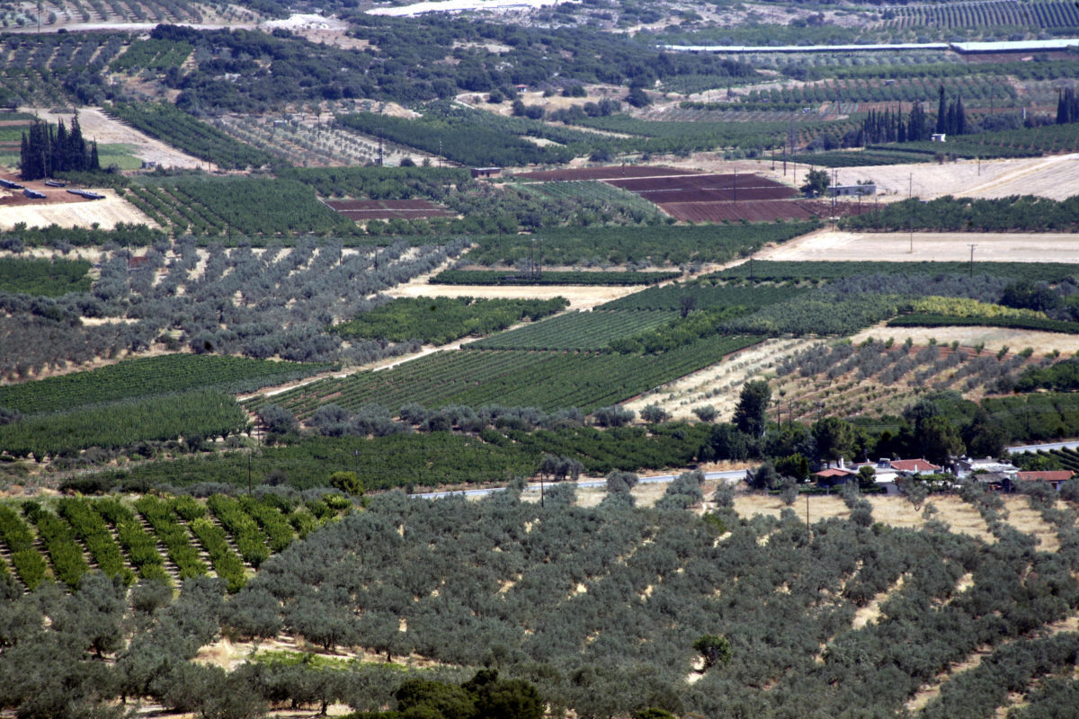 Παράταση στην υποβολή αντιρρήσεων επί των αναρτημένων δασικών χαρτών