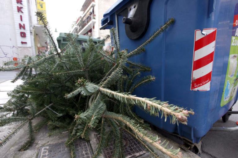 “Κανένα χριστουγεννιάτικο δέντρο στις χωματερές” | Newsit.gr