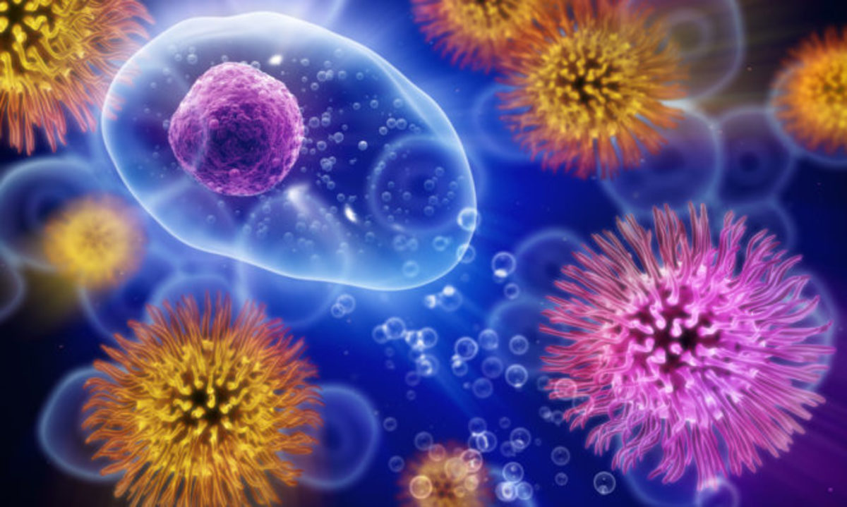 Οι ιοί της γρίπης στο παγκόσμιο “μικροσκόπιο”