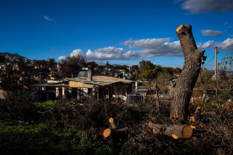 Τηλεφωνικό κέντρο που μπορούν να απευθύνονται οι πυρόπληκτοι της Αττικής | Newsit.gr Τηλεφωνικό κέντρο που μπορούν να απευθύνονται οι πυρόπληκτοι της Αττικής | Newsit.gr