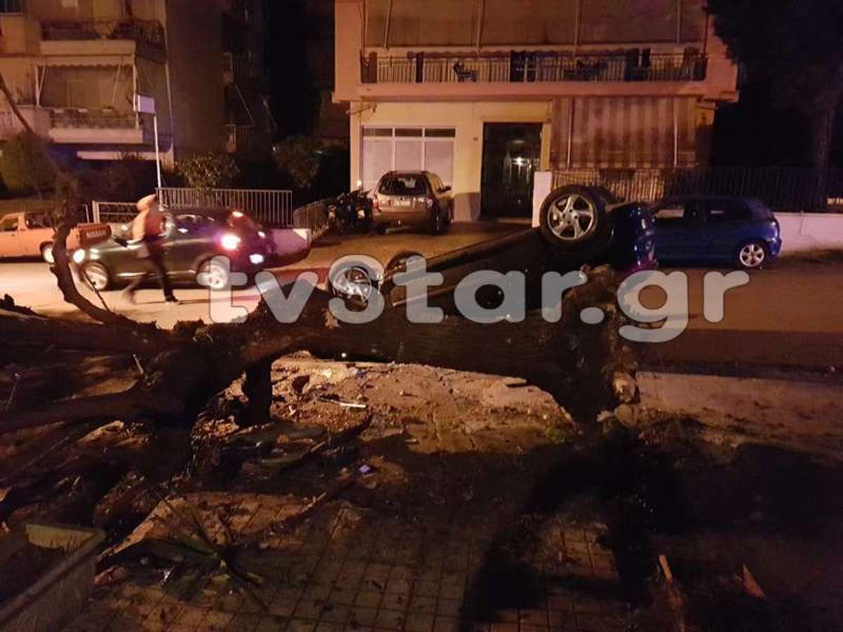 Λιβαδειά: Αυτοκίνητο ανέβηκε σε πεζοδρόμιο και καρφώθηκε σε δέντρο – Πάγωσαν οι αυτόπτες μάρτυρες [pics]