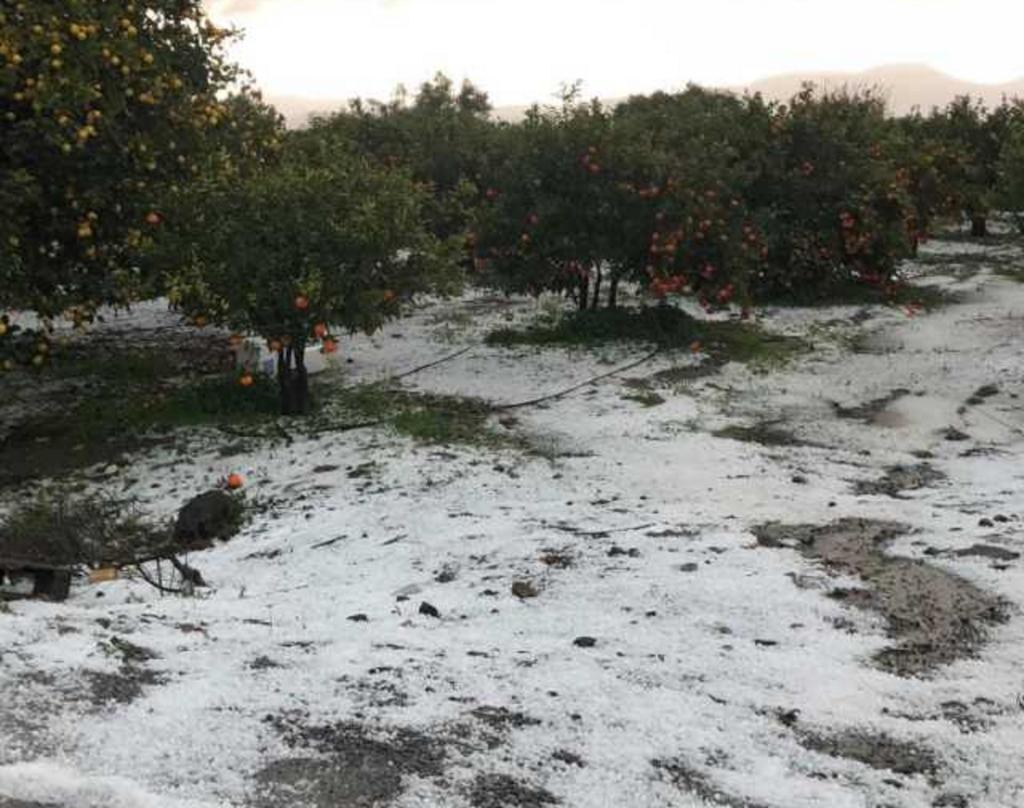 Λακωνία: Χαλάζι ισοπέδωσε τις καλλιέργειες [pics]