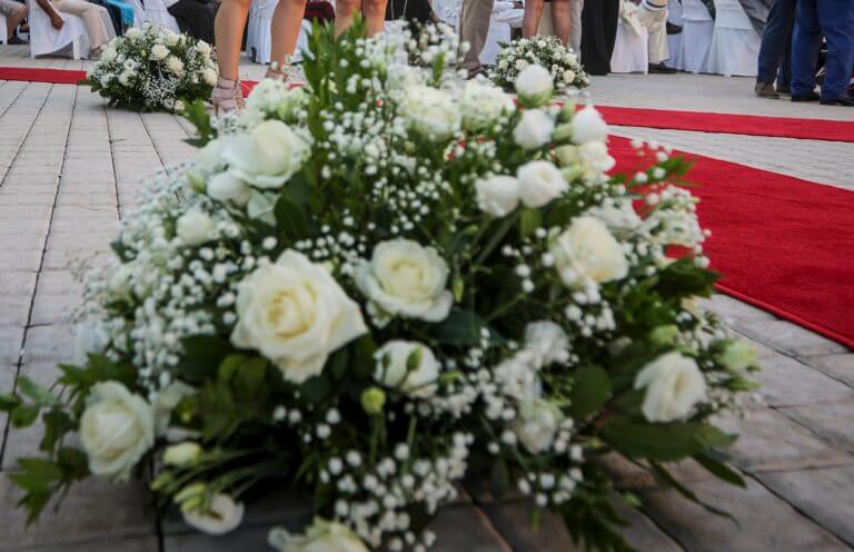 Μαγνησία: Άφησαν στην άκρη τα πτυχία τους και κέρδισαν το μεγάλο οικονομικό στοίχημα! | Newsit.gr Μαγνησία: Άφησαν στην άκρη τα πτυχία τους και κέρδισαν το μεγάλο οικονομικό στοίχημα! | Newsit.gr