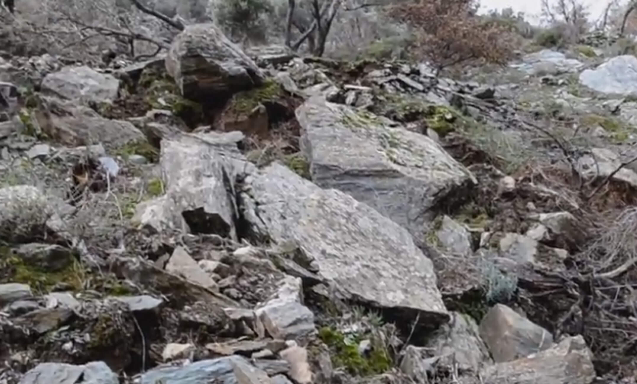 Λέσβος: “Έβρεχε” βράχους στο Πλωμάρι – Οι κατολισθήσεις έκλεισαν δρόμους και ξερίζωσαν δέντρα – video