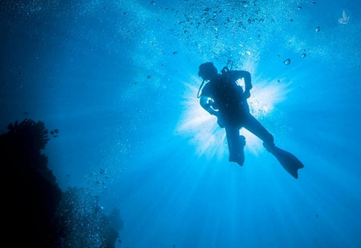 Χαλκιδική: Ανθρώπινο κρανίο στο βυθό της θάλασσας – Οι εικόνες που πάγωσαν τον ψαροντουφεκά!