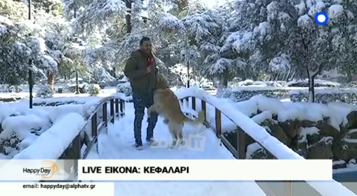 Ο… ενθουσιασμένος σκύλος παρενοχλεί τον ρεπόρτερ του Happy Day! Απίστευτο σκηνικό!