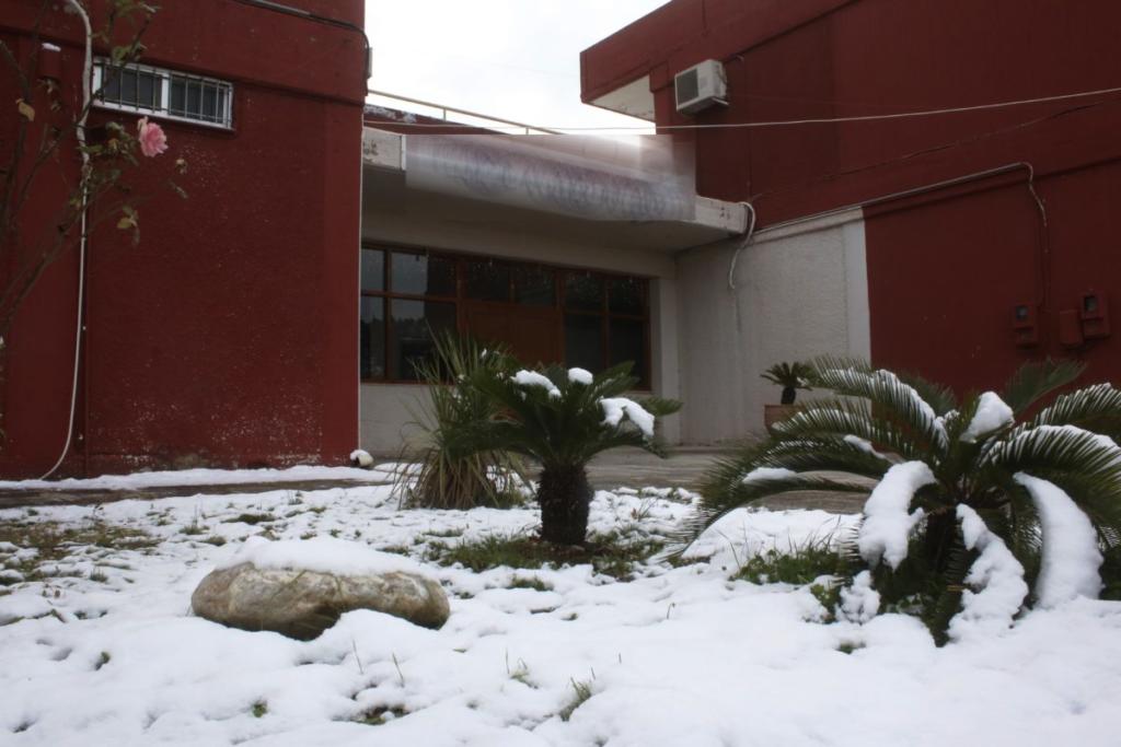 Κλειστά σχολεία στο Δήμο Θηβαίων