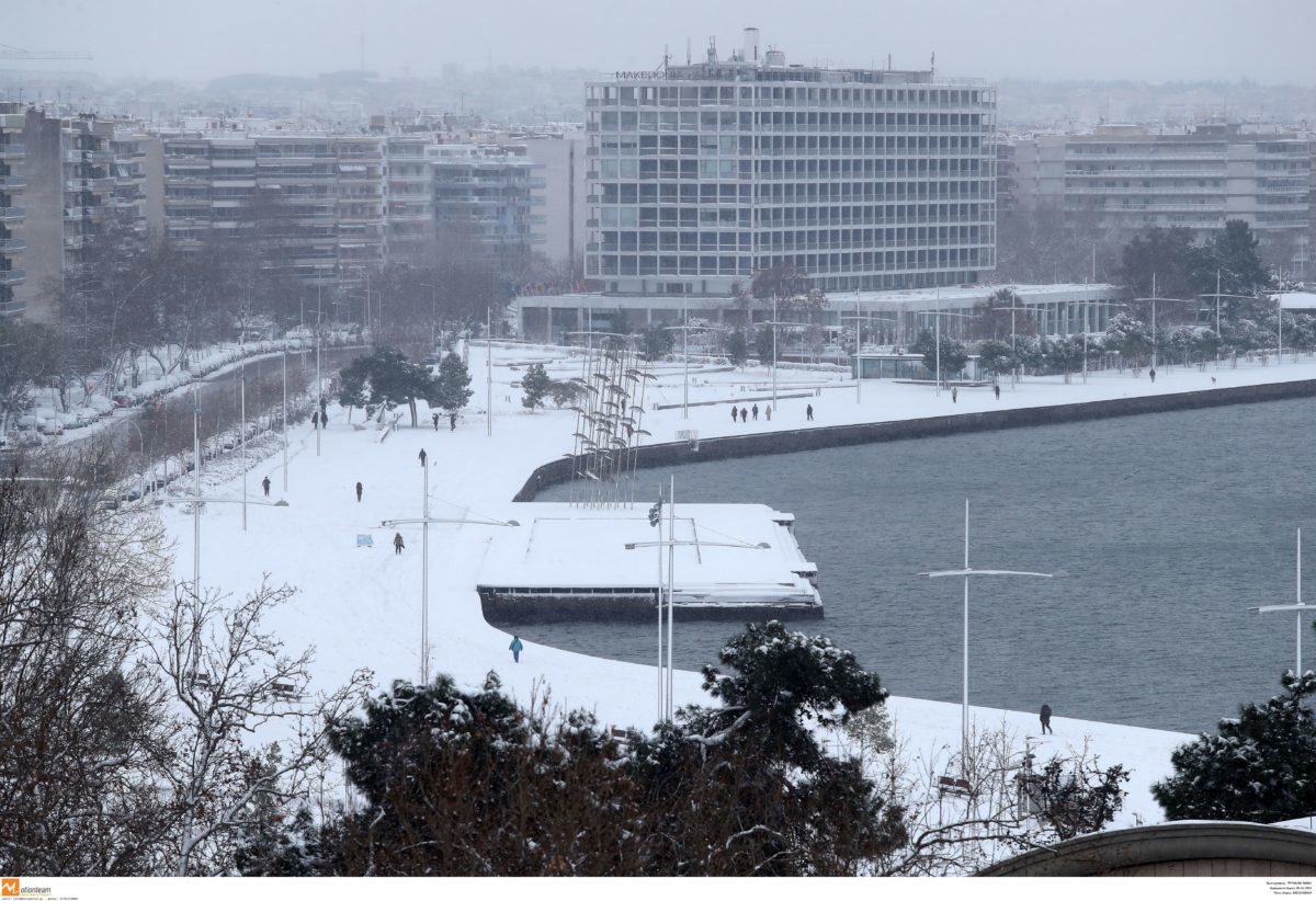 Θεσσαλονίκη: Στους δρόμους 500 τόνοι σκουπιδιών – Τα χιόνια μπλόκαραν την αποκομιδή!