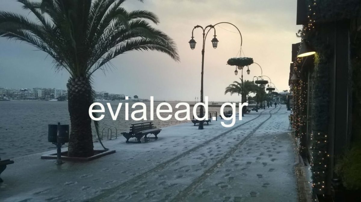Καιρός: Τα χιόνια στη Χαλκίδα έφτασαν μέχρι τη θάλασσα – Αποκλεισμένα χωριά στην Εύβοια [pics]