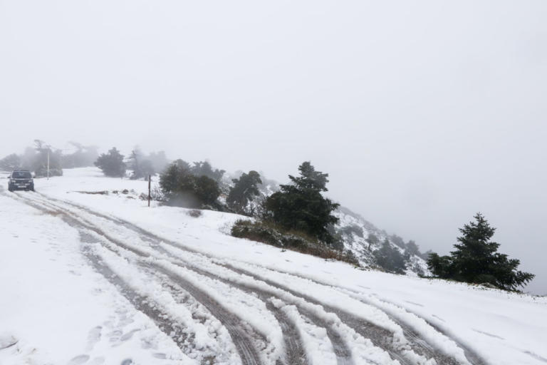 Αγριεμένη… "Σοφία" φέρνει χιόνια και δριμύ ψύχος! Θα χιονίσει ακόμη και στην Αττική – Που θα χτυπήσει η κακοκαιρία