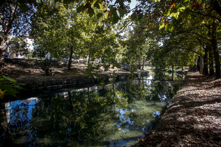 Τα παιδιά που μεγαλώνουν μέσα στο πράσινο έχουν καλύτερη ψυχική υγεία | Newsit.gr Τα παιδιά που μεγαλώνουν μέσα στο πράσινο έχουν καλύτερη ψυχική υγεία | Newsit.gr