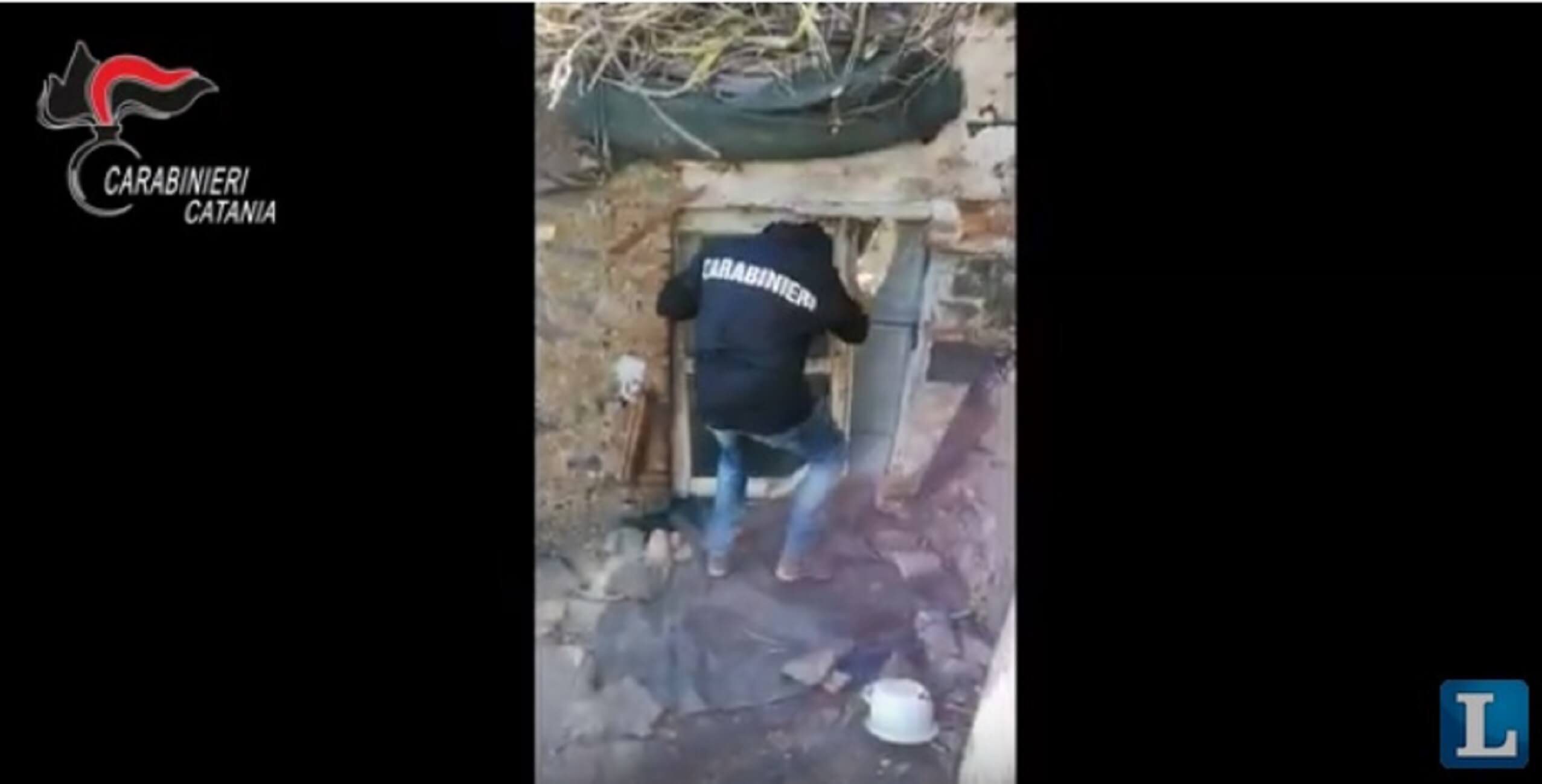 Ιταλία: Κινηματογραφική σύλληψη του δραπέτη «Ταρζάν» – video