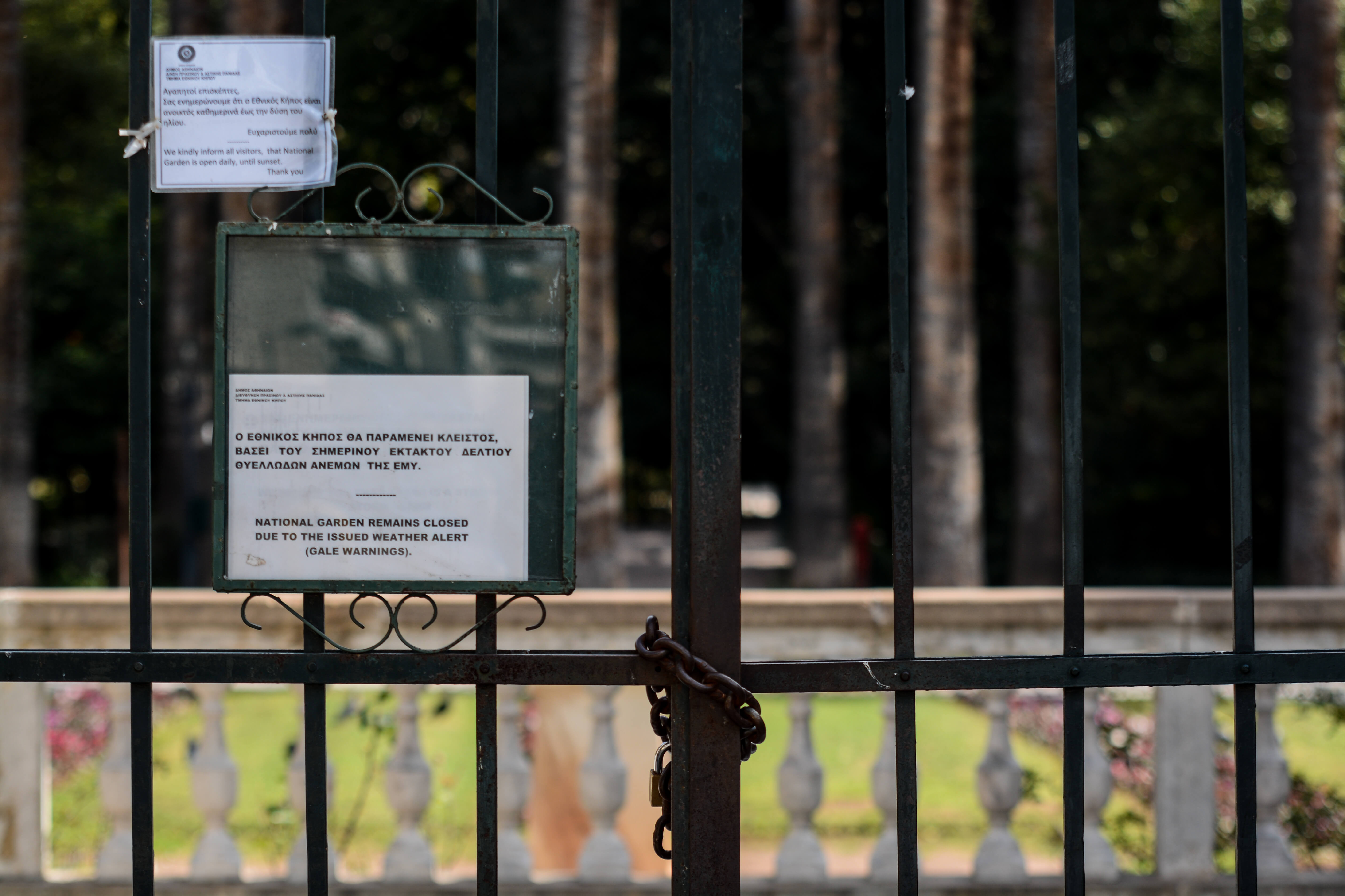Καιρός: Κλειστός και ο Εθνικός Κήπος λόγω των θυελλωδών ανέμων! [pics]