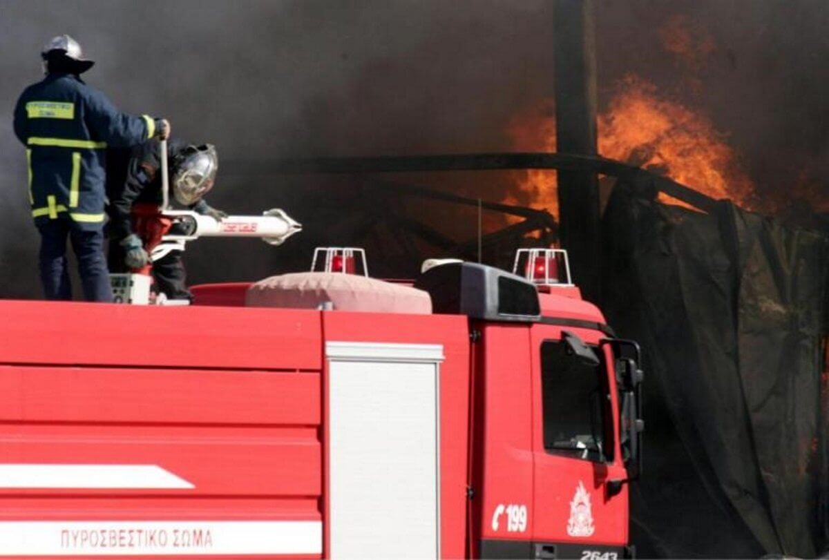 Βέροια: Φωτιά δίπλα στην Εγνατία Οδό