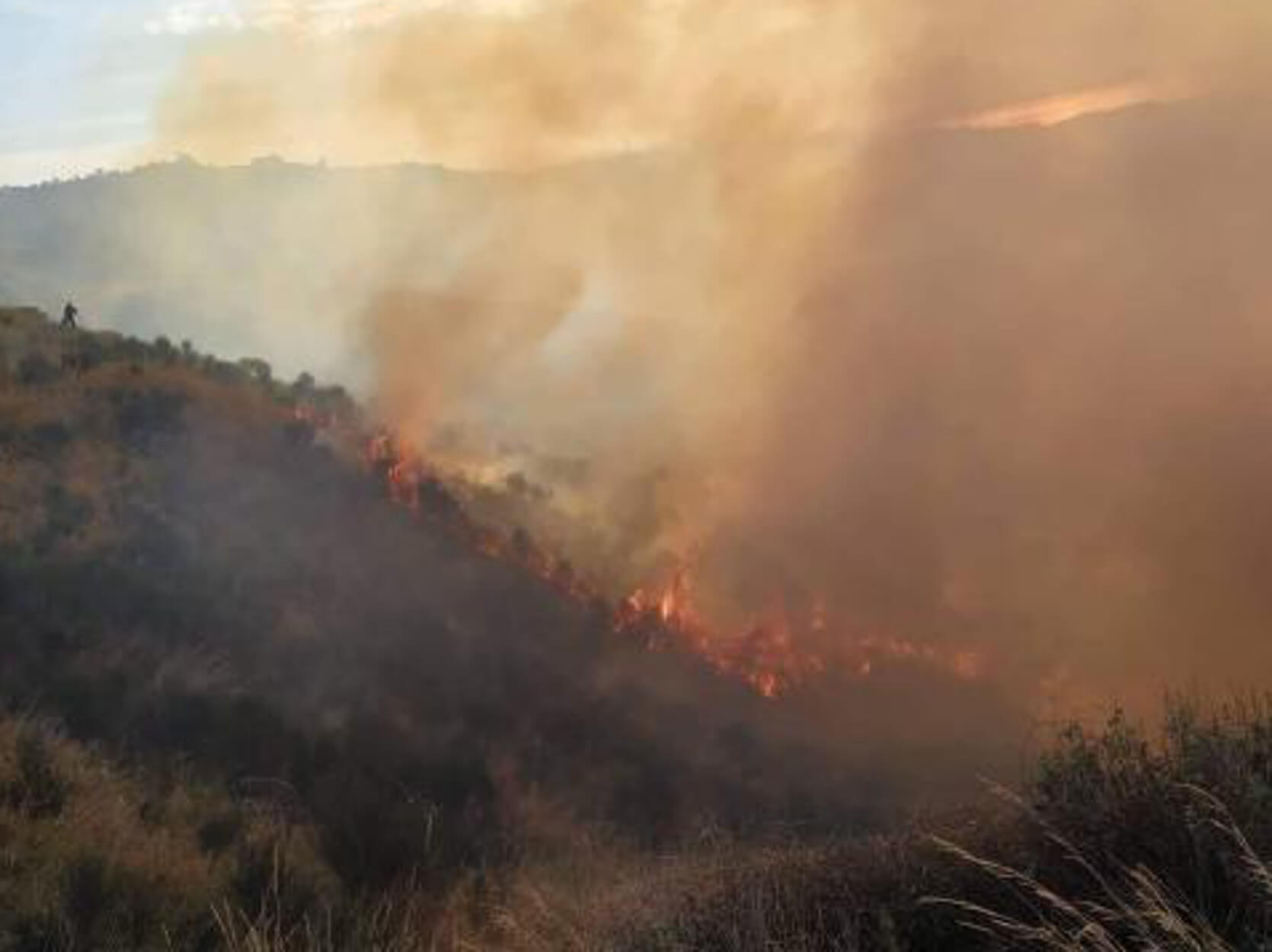 Πάτρα: Τραυματίες δύο πυροσβέστες που έδιναν “μάχη” με τις φλόγες στα Συχαινά – video