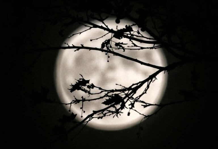 Σήμερα η δεύτερη υπερ-πανσέληνος του 2019 – Τι σημαίνει | Newsit.gr Σήμερα η δεύτερη υπερ-πανσέληνος του 2019 – Τι σημαίνει | Newsit.gr