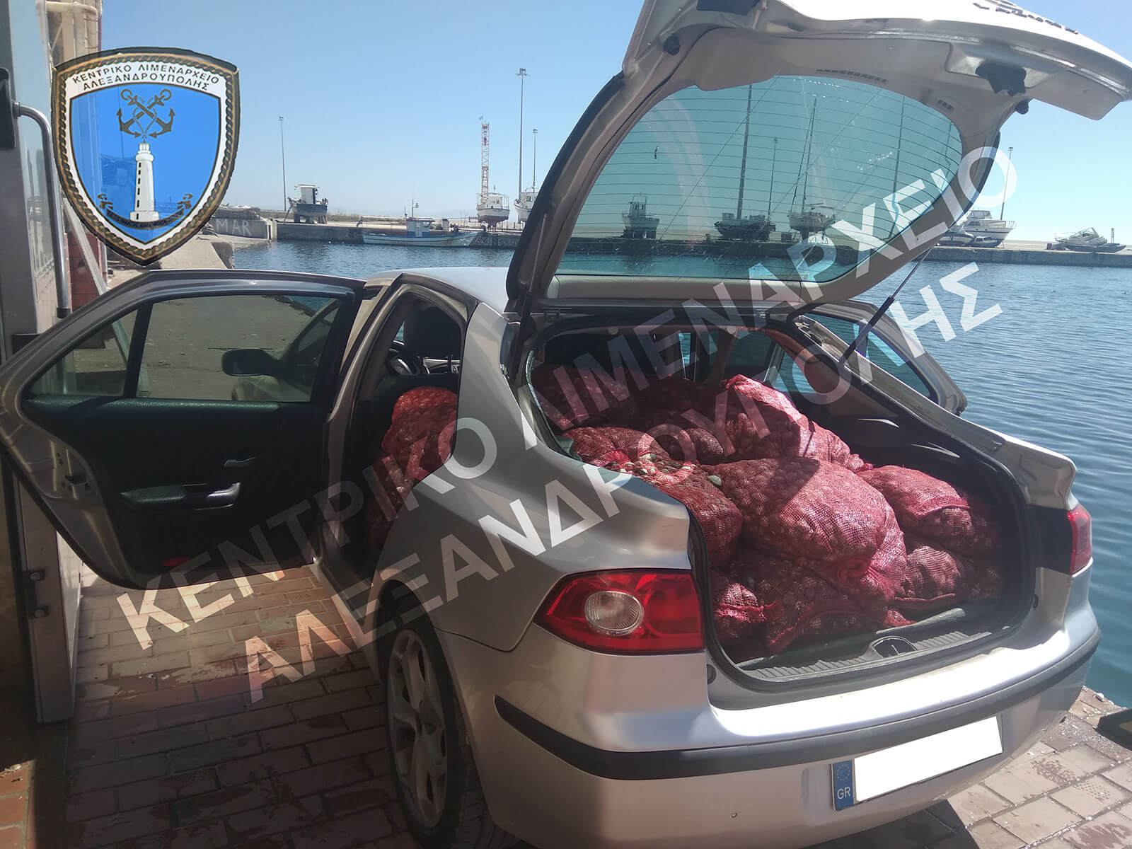 Αλεξανδρούπολη: Μέσα στο αυτοκίνητο αυτές οι εικόνες – Θα πουλούσαν στην αγορά ακατάλληλα όστρακα [pics]