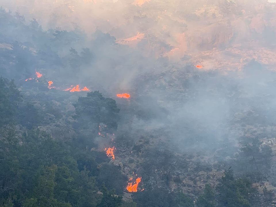 Ιεράπετρα: Έβαλαν φωτιά για να κάψουν κλαδιά και προκάλεσαν μεγάλη πυρκαγιά – Ολονύχτια μάχη πυροσβεστών [pics]