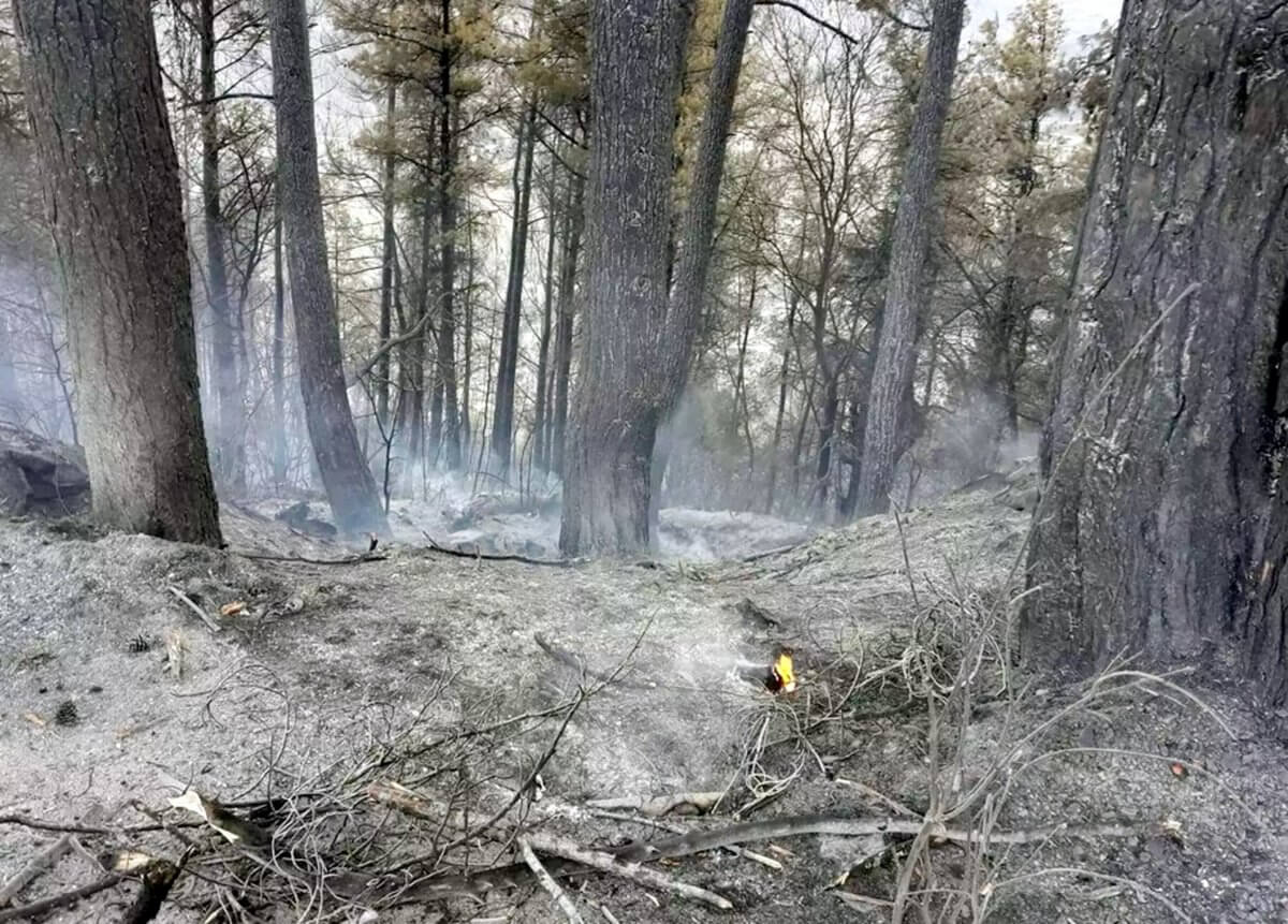 Έσβησε η φωτιά στα ορεινά των Τρικάλων