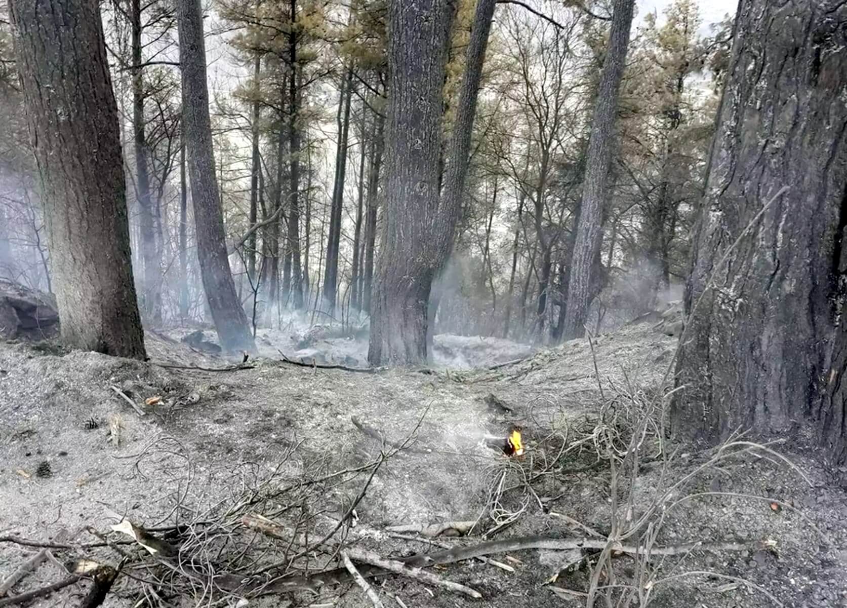 Έσβησε η φωτιά στα ορεινά των Τρικάλων