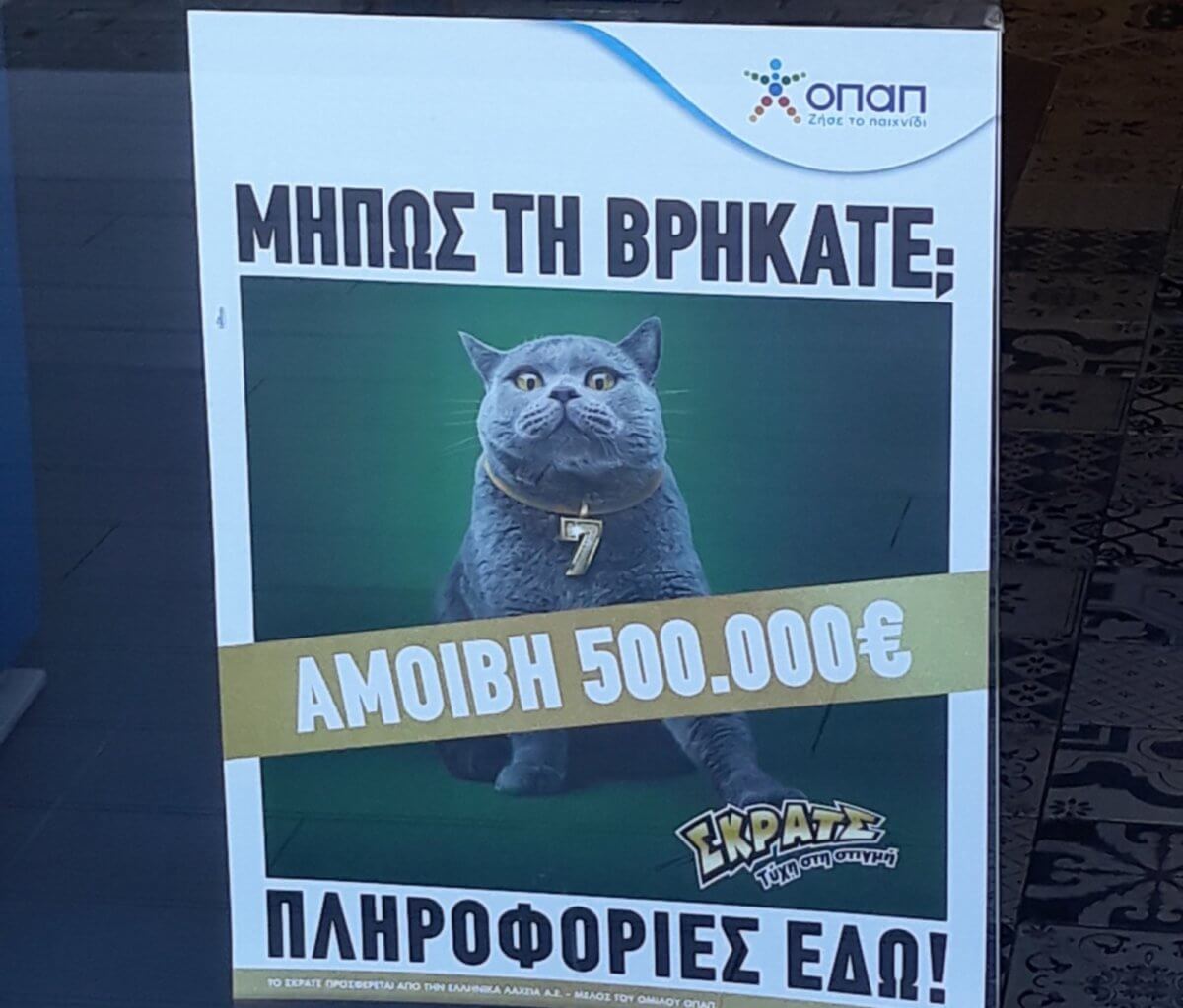 Kυνήγι σε όλη την Ελλάδα για μία γάτα με αμοιβή 500.000 ευρώ