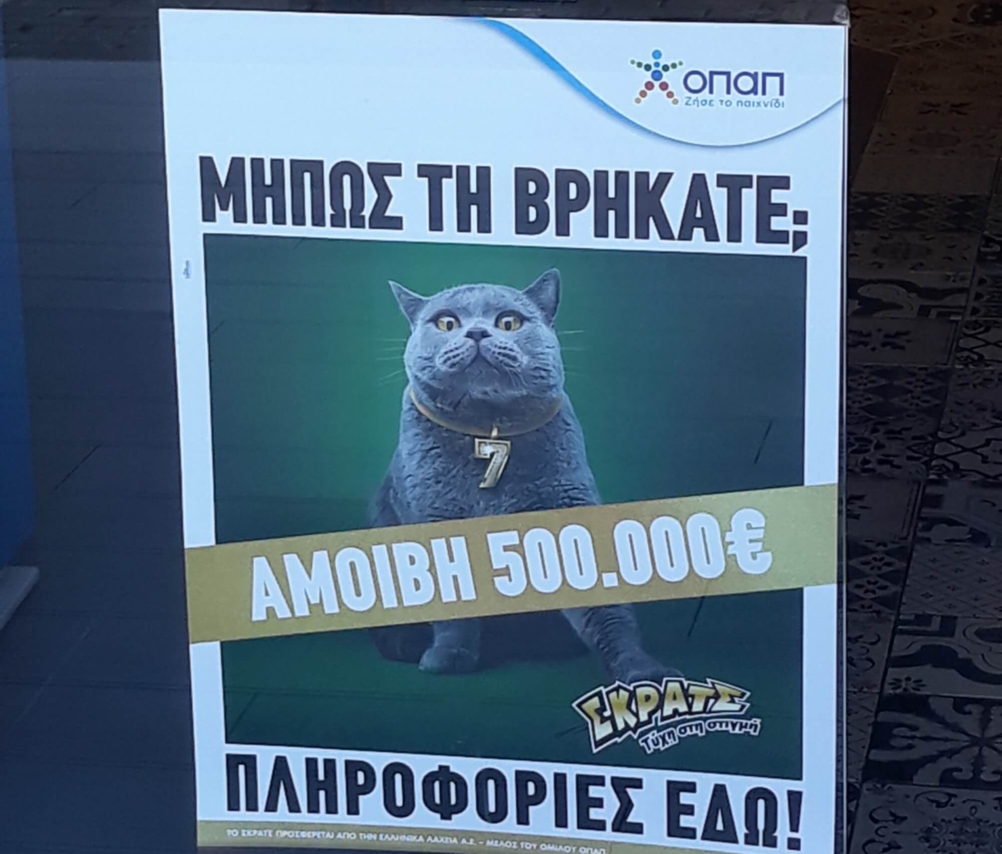 Kυνήγι σε όλη την Ελλάδα για μία γάτα με αμοιβή 500.000 ευρώ