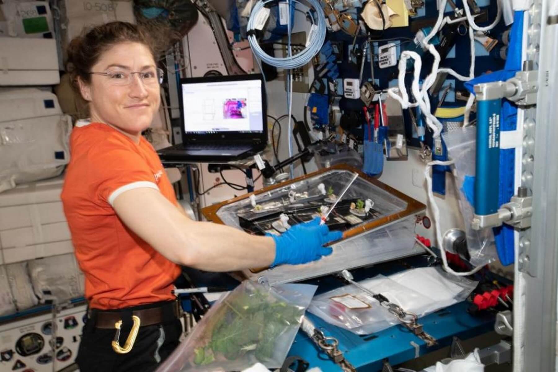 Η αστροναύτης Κριστίνα Κοχ σπάει το παγκόσμιο ρεκόρ παραμονής γυναίκας στο Διάστημα