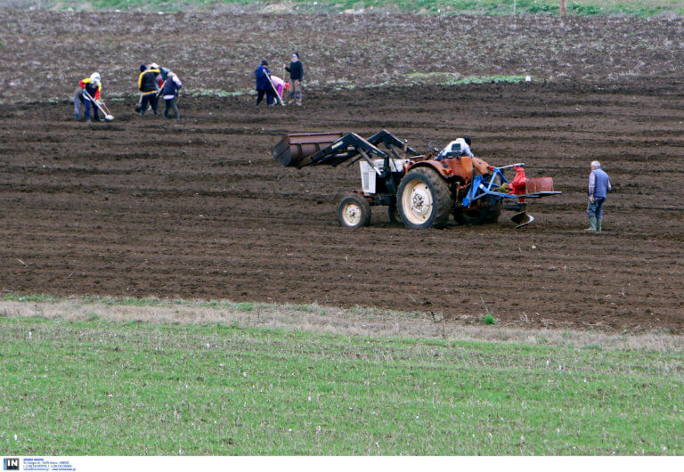 Ροδόπη: Υποσχέσεις Σκρέκα στους αγρότες – “Μείωση του κόστους παραγωγής και ενίσχυση της ανταγωνιστικότητας”!