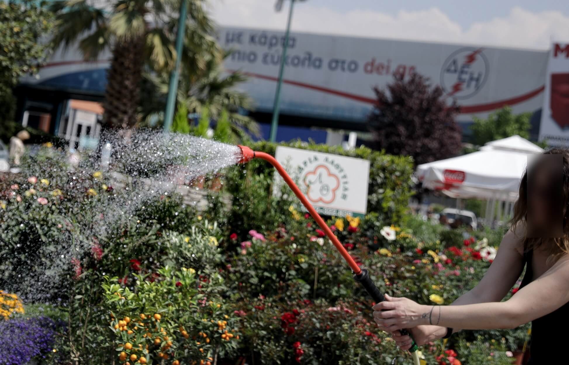 Ανθοκομική Έκθεση Κηφισιάς 2019 – Πρόγραμμα και εκδηλώσεις