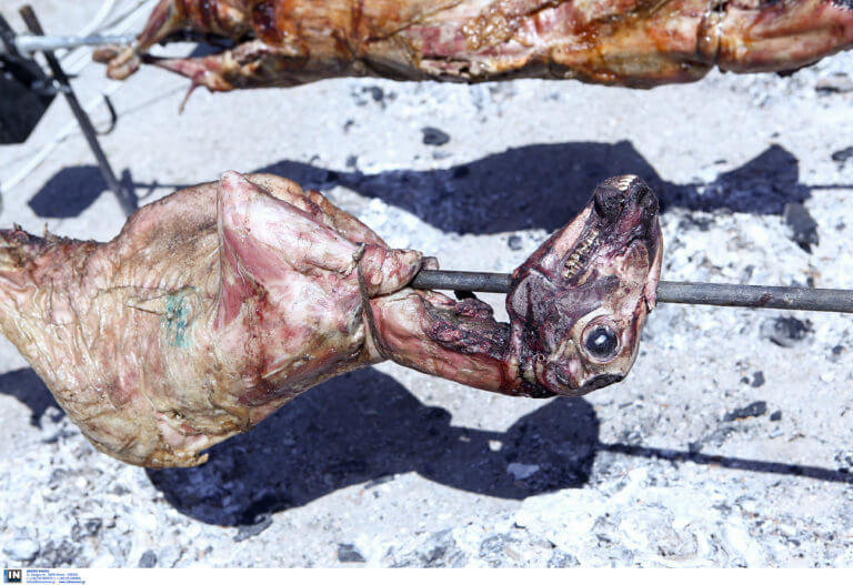 Κρήτη: Έπεσαν δίπλα του αυτές οι αδέσποτες σφαίρες την ώρα που σούβλιζε αρνί – Χαμός στο Ρέθυμνο [pics]