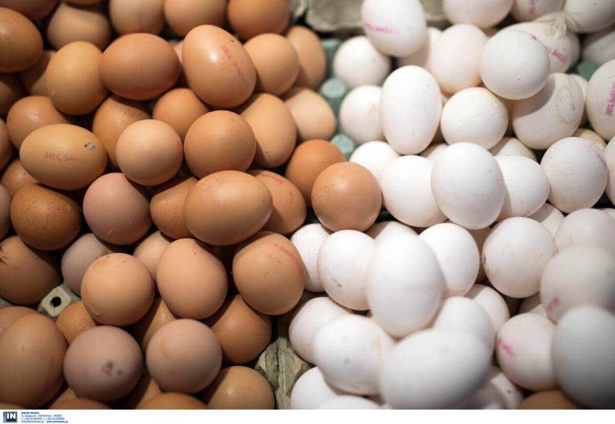 Συμβουλές ΕΦΕΤ για την αγορά αυγών – Τι πρέπει να προσέχετε