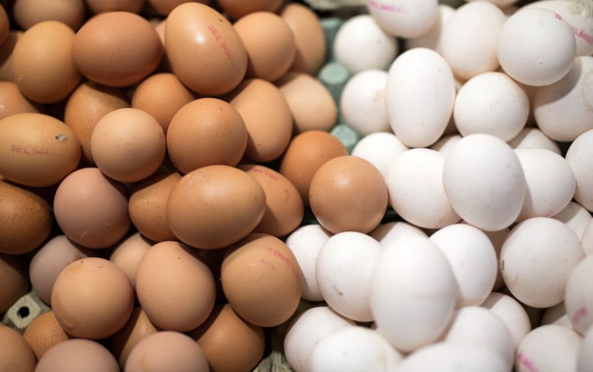 8 τροφές με περισσότερη πρωτεΐνη από το αυγό