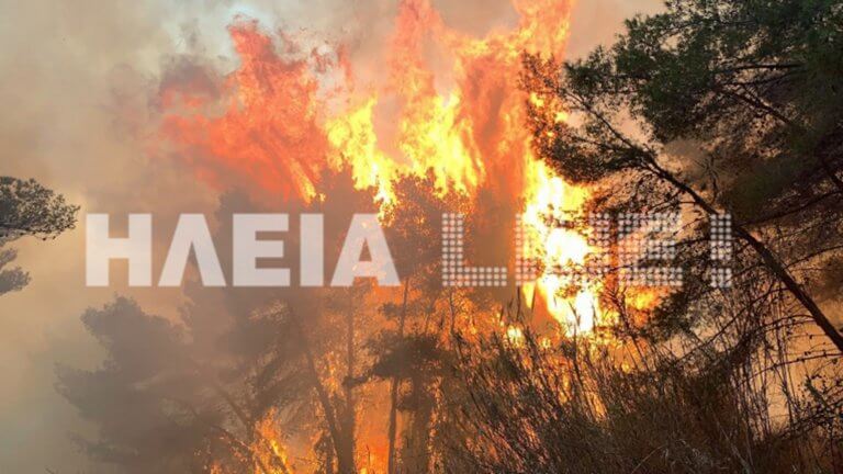 Καίγεται το «διαμάντι» της Πελοποννήσου! Ανεξέλεγκτη η φωτιά στο προστατευόμενο δάσος της Στροφυλιάς | Newsit.gr