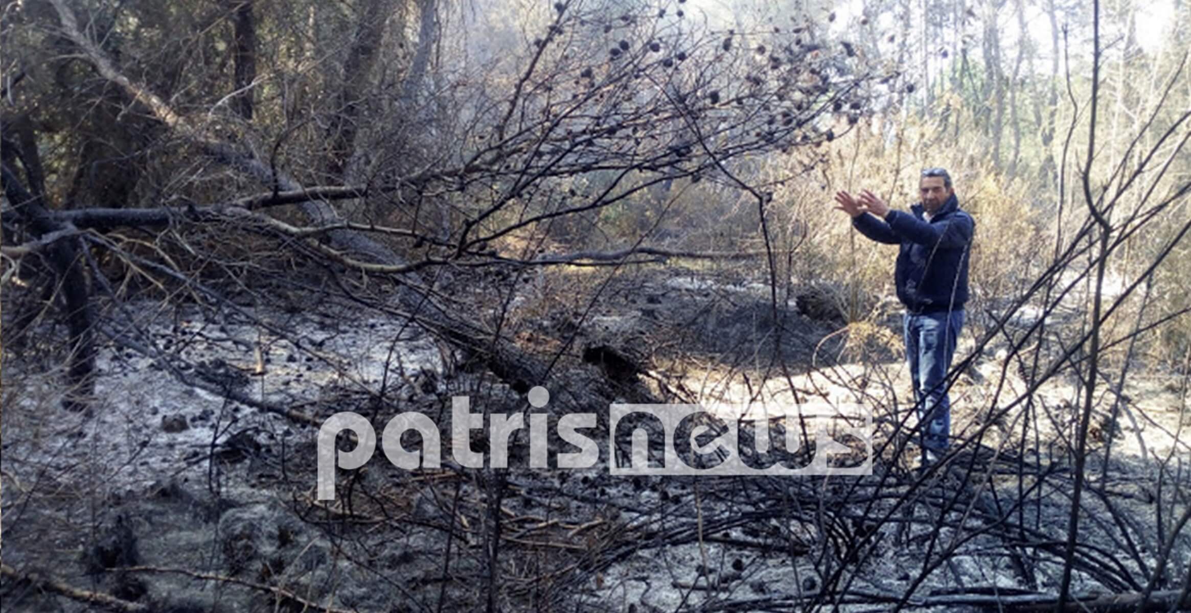 Από εδώ ξεκίνησε η φωτιά στο δάσος της Στροφυλιάς [pics]