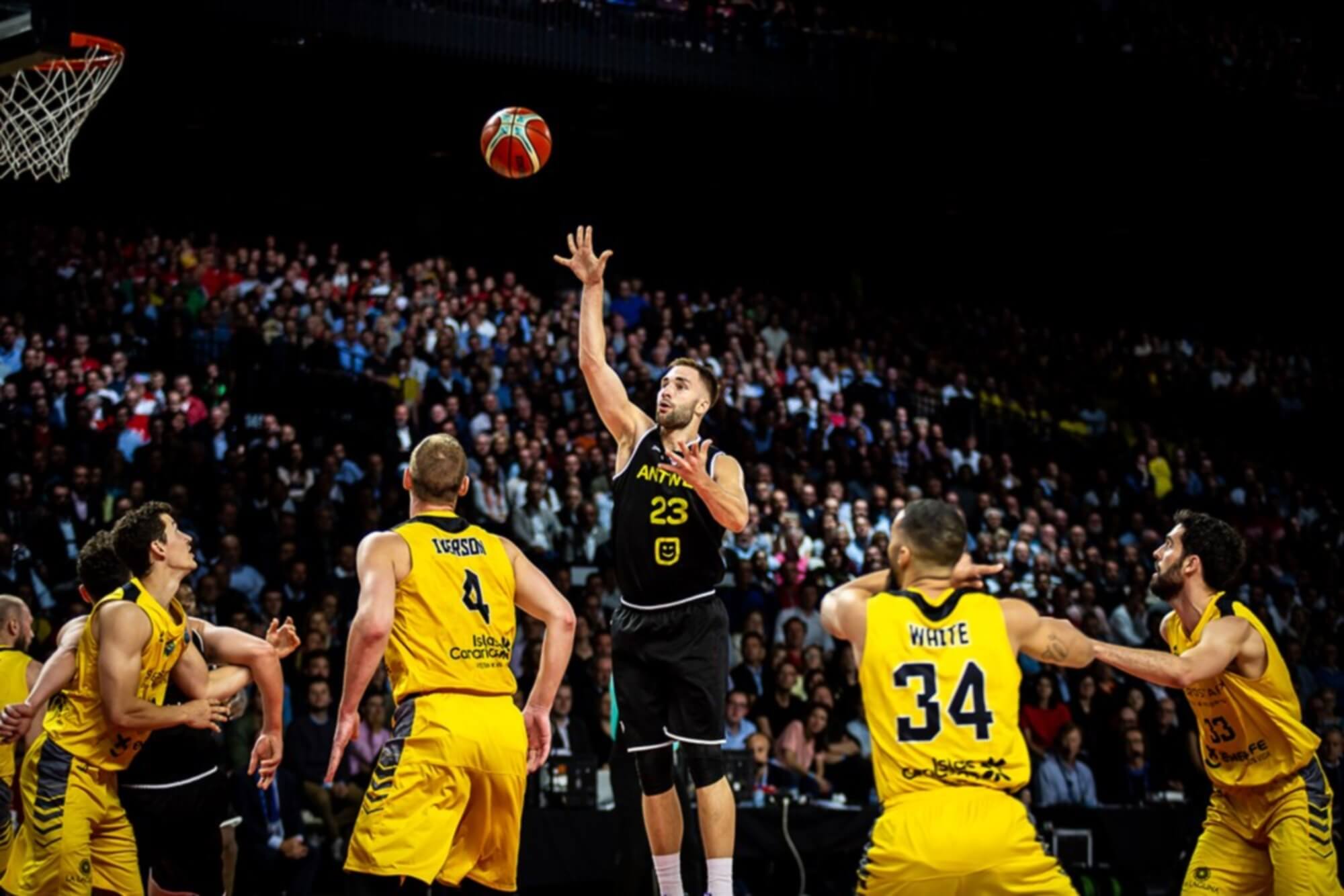 Basketball Champions League: Στον τελικό Μπολόνια και Τενερίφη