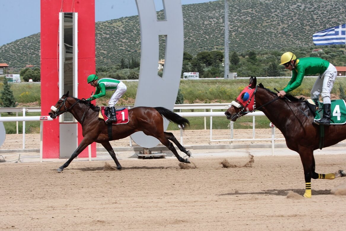 markopoulo ippodromies