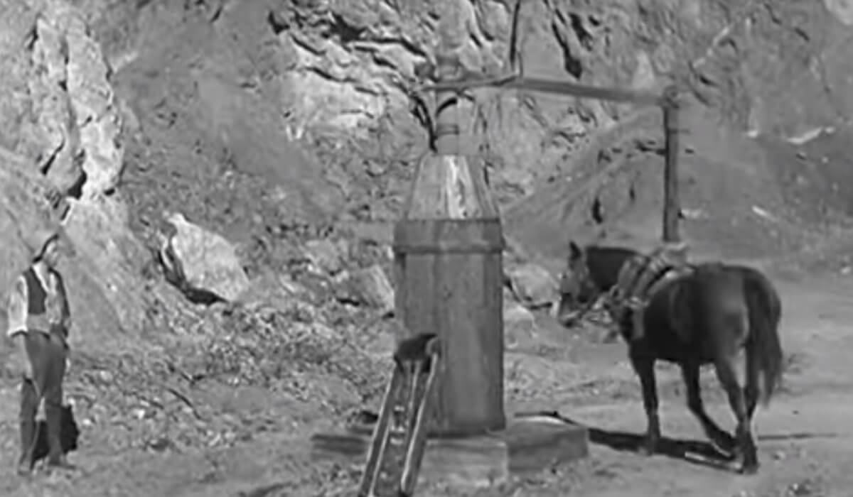 Γιατί η ισχύς των κινητήρων μετριέται σε άλογα; [vid]