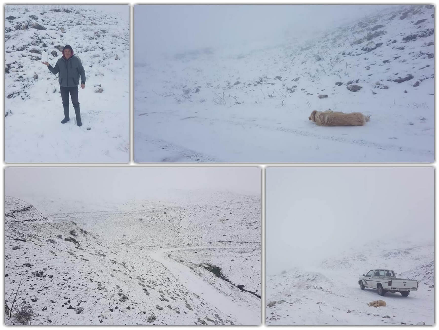 Γιάννενα: Επιστροφή στον χειμώνα με χιόνια – Ο καιρός “τρελάθηκε” στο κατάλευκο Συρράκο [pics]