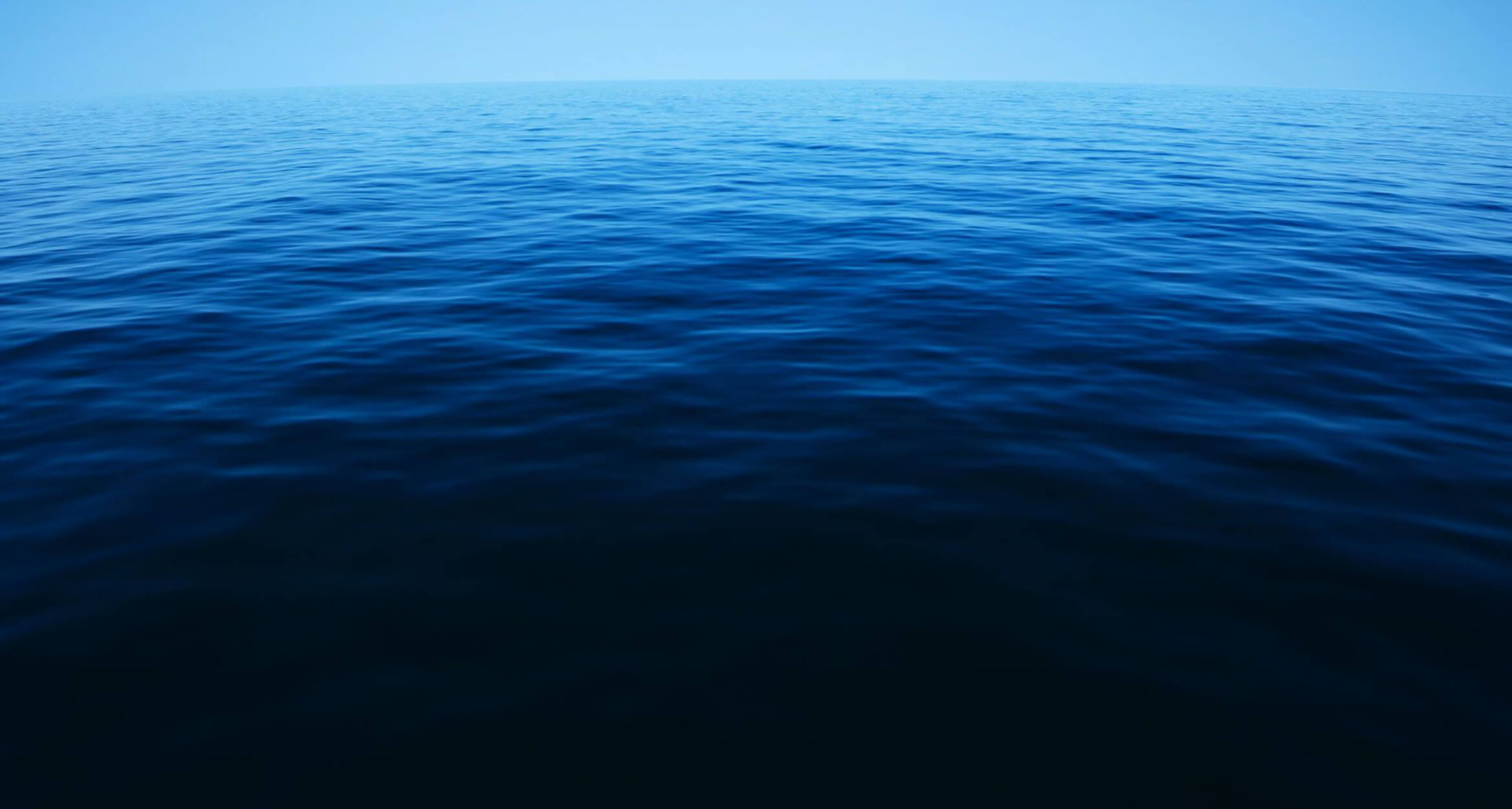 Νεκρώνουν οι θάλασσες! Θα εξαφανιστεί το 17% των ζώων τα επόμενα χρόνια