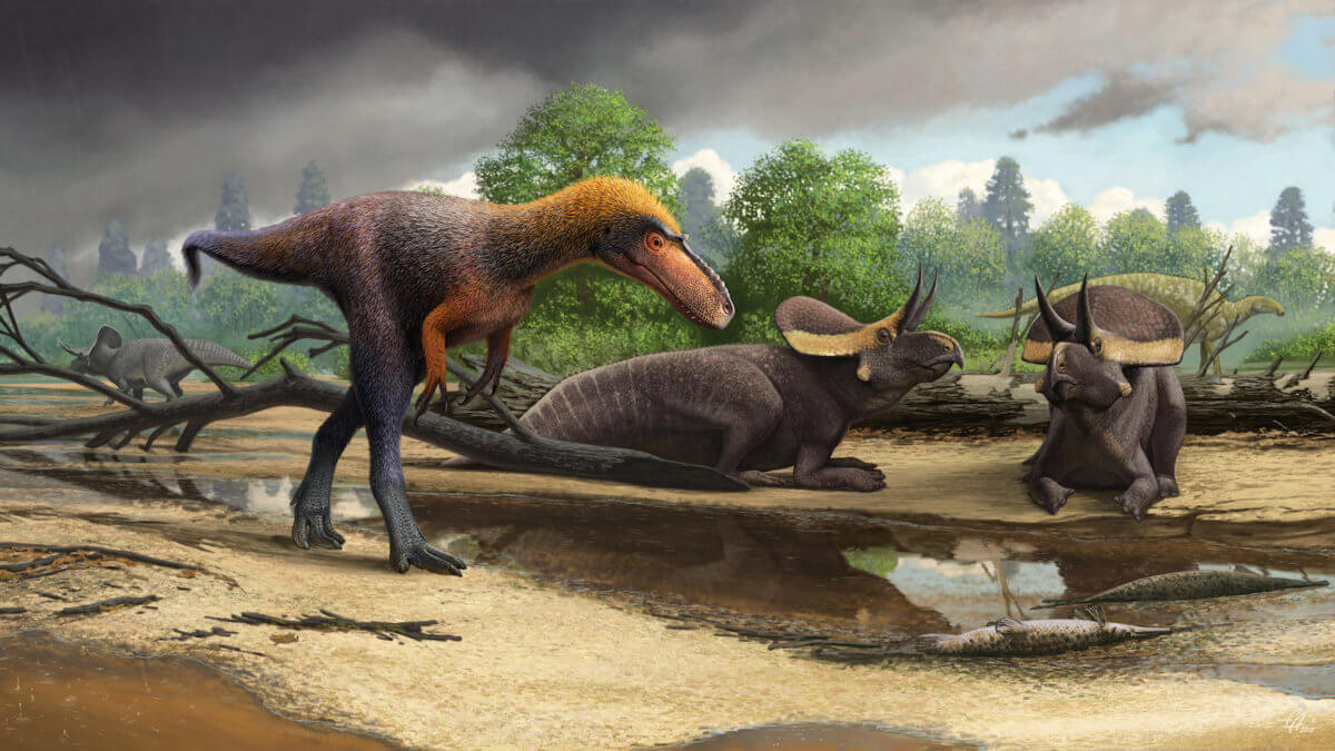 Ο «παππούς» του T-Rex! Ανακαλύφθηκε άγνωστος πρόγονος του Τυραννόσαυρου – video